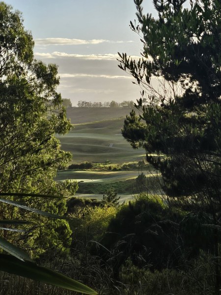 03 fairways at first light